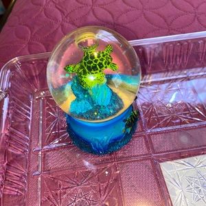 SeaTurtles Snowglobe